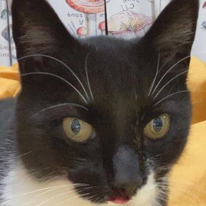 Meet your Posher, Al